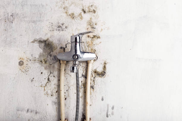 Best Mold Inspection  in Cupertino, CA